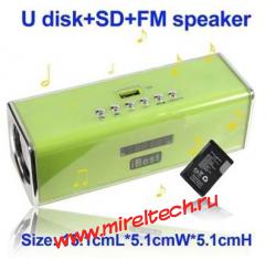 U Disk + SD/TF Card + FM