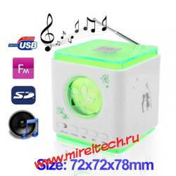 Portable Speaker Support FM Radio