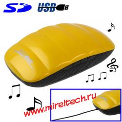 Card Reader Speaker with FM Radio