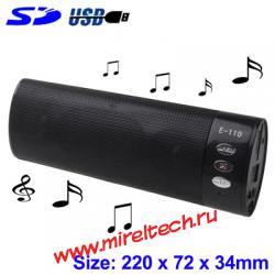 Portable Stereo Digital Speaker