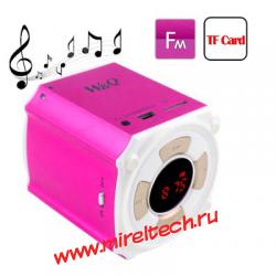 Mini Speaker Support FM Radio