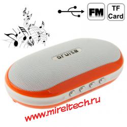 Multimedia Card Reader Speaker with FM Radio