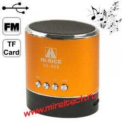 Mini Card Reader Speaker with FM Radio