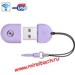 2 в 1, USB WiFi2 модуль + флешка на 4 Гб