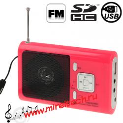 Mini Card Reader Speaker with Lanyard, FM Radio Function, Support SD Card and US